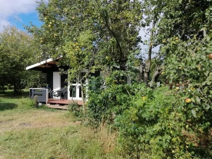 Kiszkowianka domki Skrzeszewo  Zewnętrze zdjęcie